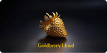 Goldberry Lloyd - Home